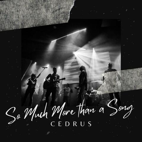 So Much More Than a Song