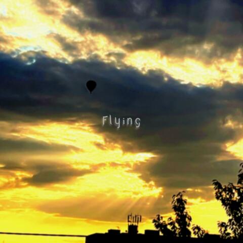 Flying