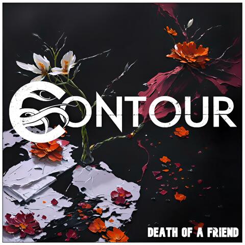 Death of a Friend