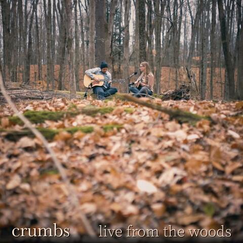 Crumbs (live from the woods)