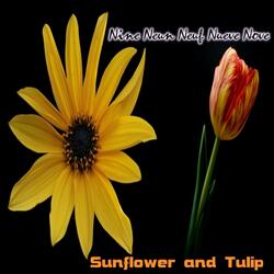 Tulip