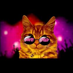 Meow!