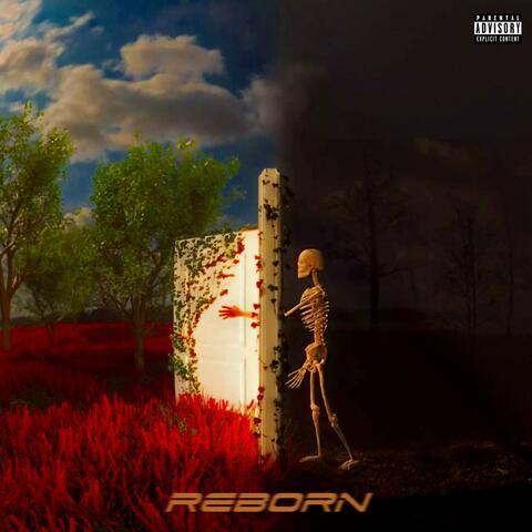 Reborn