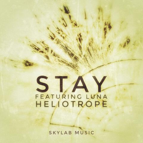 Stay
