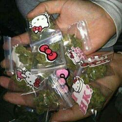 moñas en el gabinete