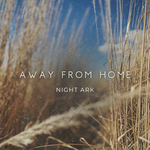 Night Ark