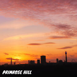 Primrose Hill