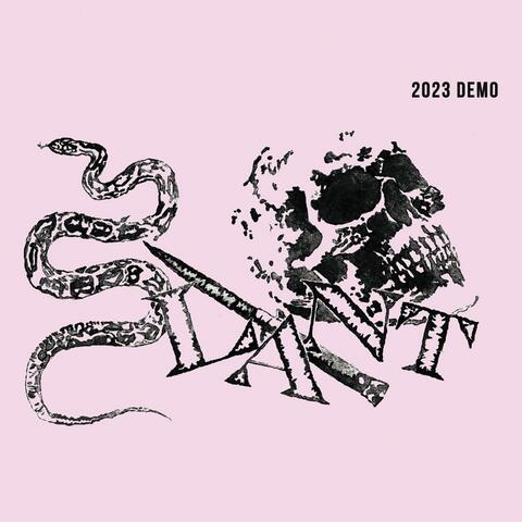 DEMO 2023