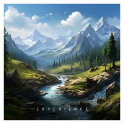 Experience