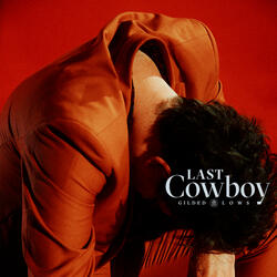 Last Cowboy