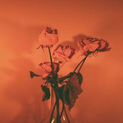 THE COLDEST SUMMER