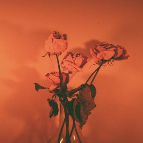 THE COLDEST SUMMER