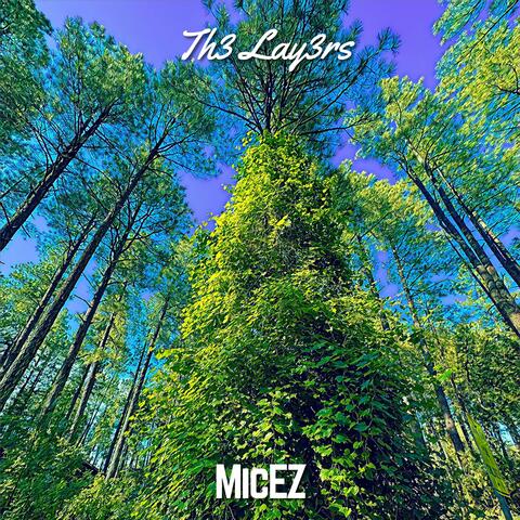 Th3 Lay3rs