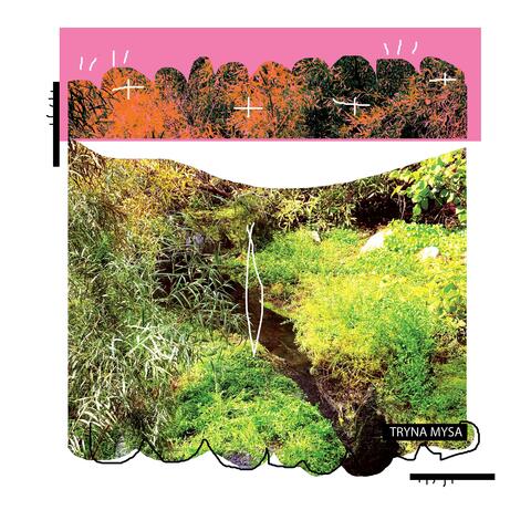 Montezuma Well