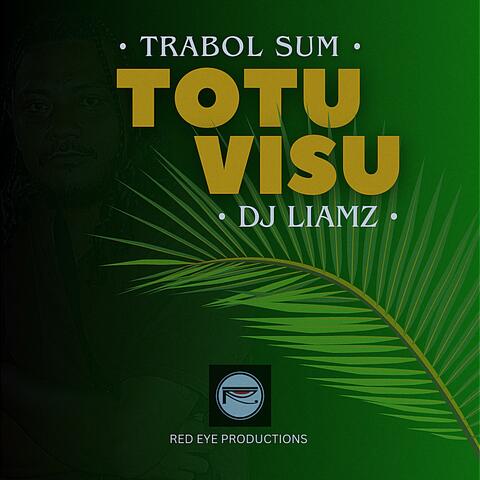 Totu Visu