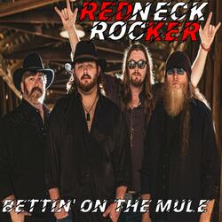 Redneck Rocker