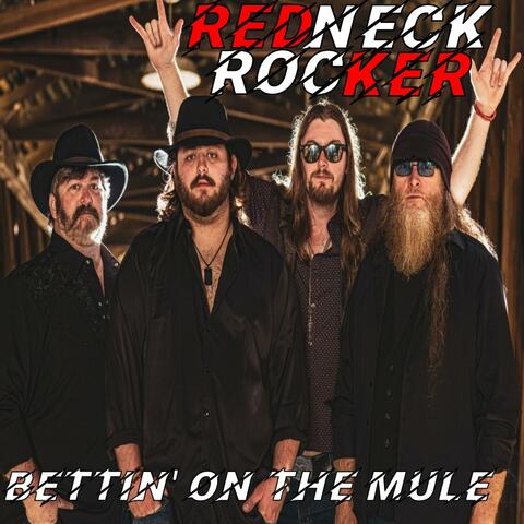 Redneck Rocker