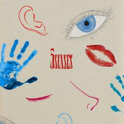 5 Senses