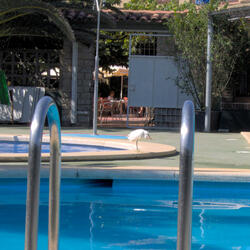 Ce n'est pas le moment de