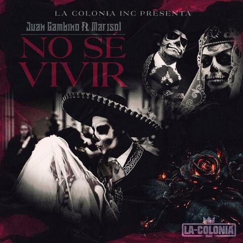 No Se Vivir