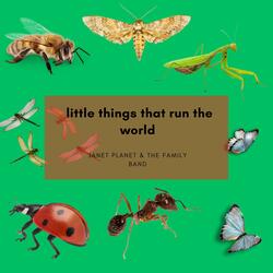 little things that run the world