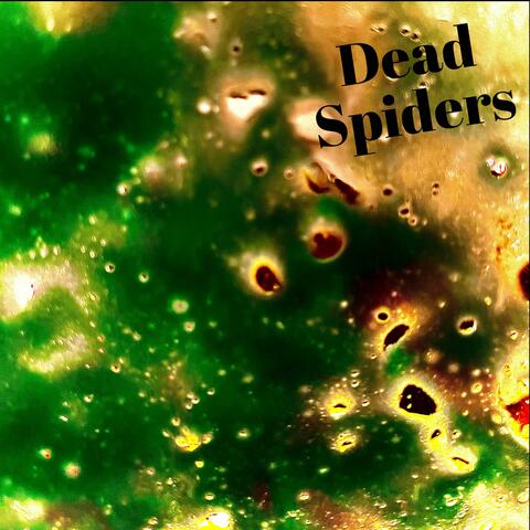 Dead Spiders