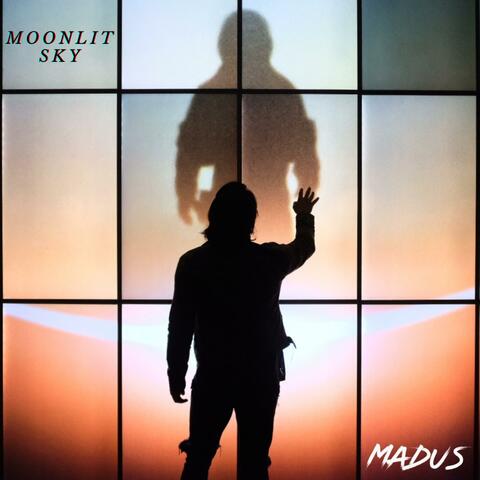 Moonlit Sky
