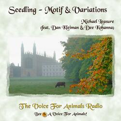 Seedling (Motif & Variations) (feat. Dan Kleiman & Dee Kohanna)