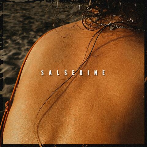 Salsedine