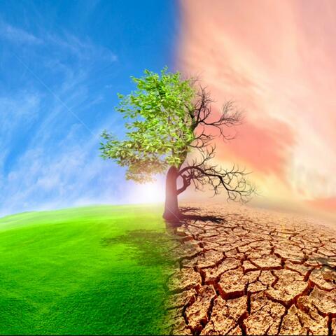 Stuck Between Worlds
