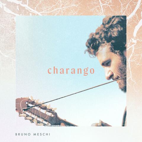 Charango