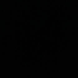 Intro