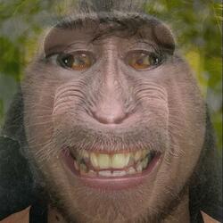 Return to Monkey