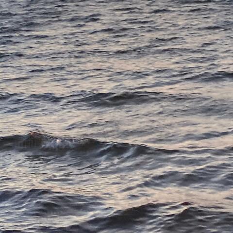 Soulless Loud (Waves on Fire)