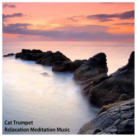Relaxation Meditation Music
