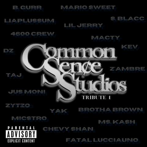 Common Sence Studios Tribute 1
