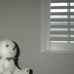 Through the Elm and Ivory