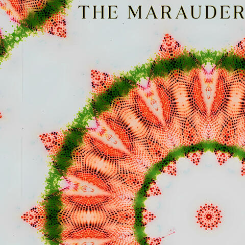 The Marauder