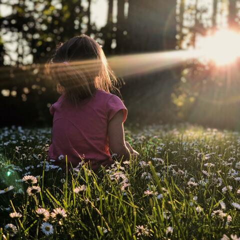 Towards the Light