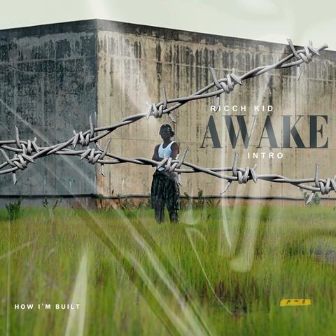 Intro (AWAKE)