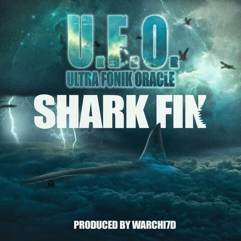 Shark Fin