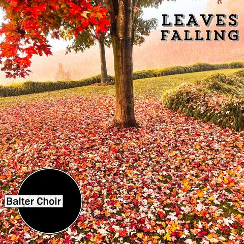 Leaves Falling