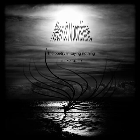 The poetry in saying nothing (Reimagined)