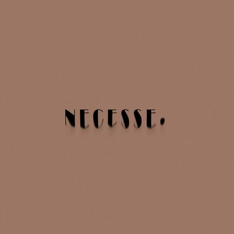 Necesse
