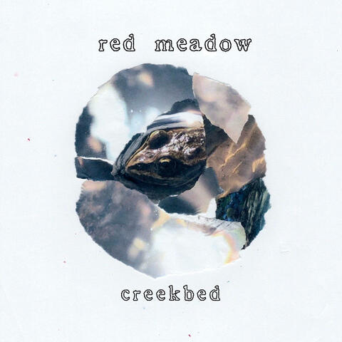 Creekbed