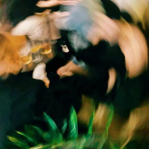 Warriors Of The Night