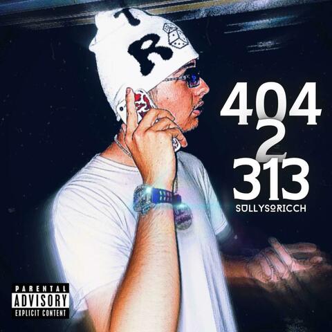 404 2 313