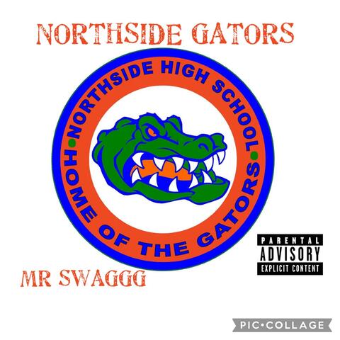 NothSide Gators