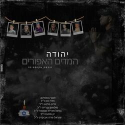 המדים האפורים אקוסטי