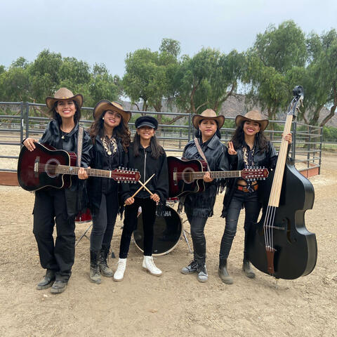 Have You Ever Seen The Rain